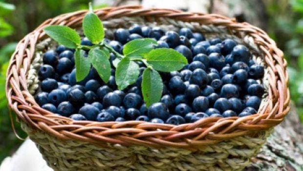 blueberries_620x350_61518168372.jpg