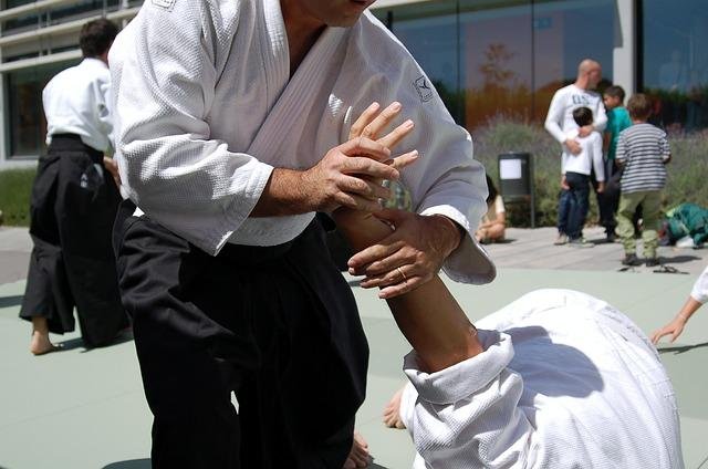 martial-arts-116543_640.jpg