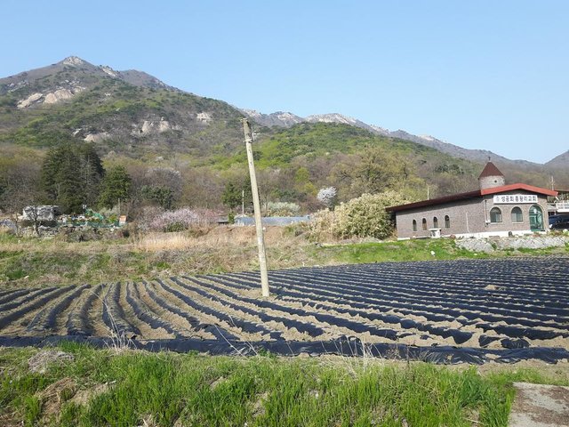 20180420_165248.jpg