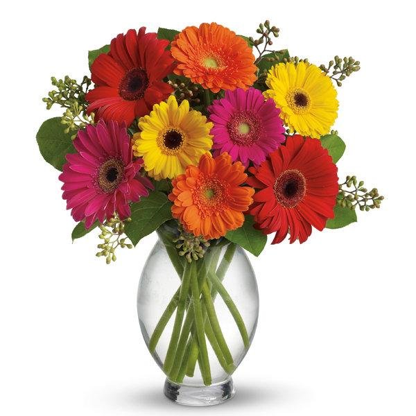 gerbera-brights-teleflora_9.jpg