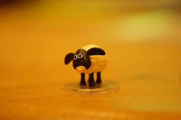 sheep-shaun-the-sheep-timmy-baby-sheep-preview.jpg