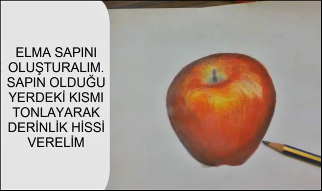 How To Draw A Apple Gercekci Elma Cizimi Nasil Yapilir Steemit