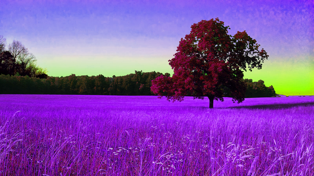purple_colored_landscape_by_toenails_sauce1337-d9lqk3l.png