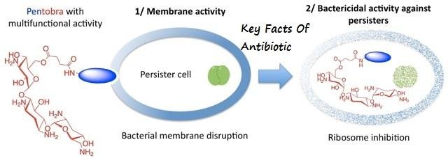 Key Facts Of Antibiotic Resistance.jpg