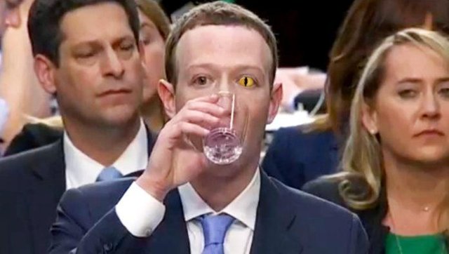 lizardzuck-696x394.jpg