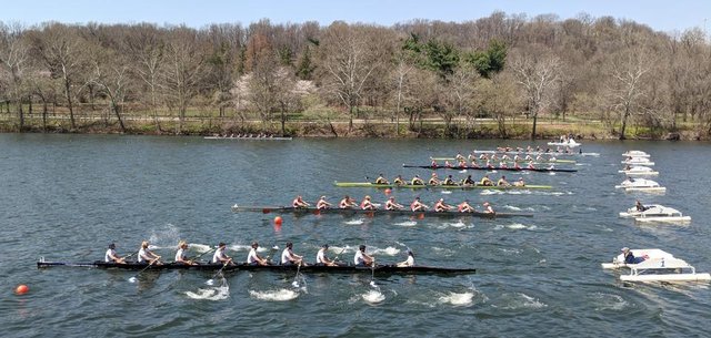 Kerr Cup Regatta Rowing