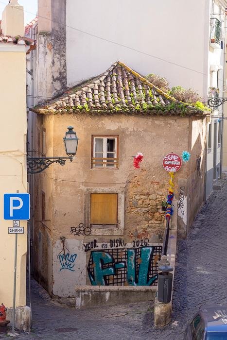 37 Street Art In Lisbon DSC08466.jpg