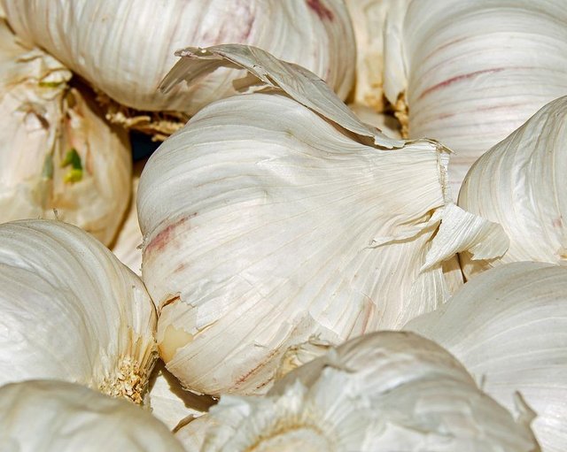 garlic-3262454_960_720.jpg