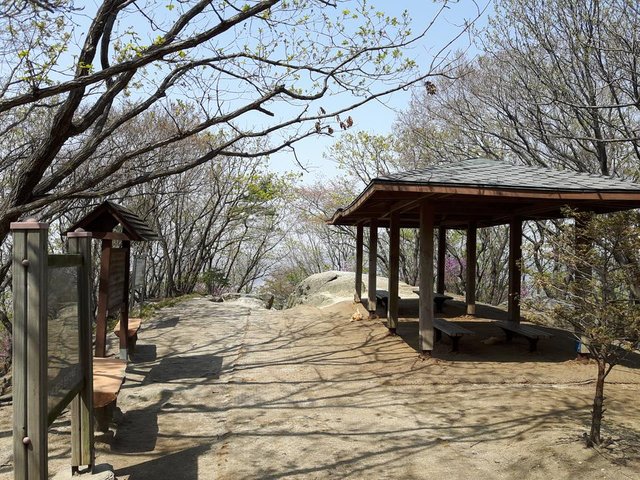 20180420_135536.jpg