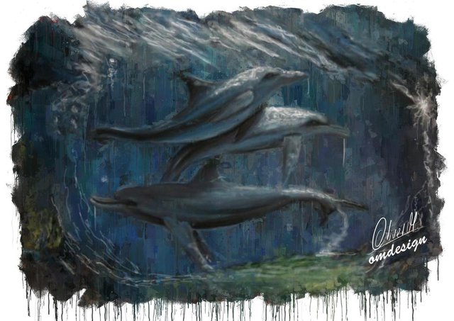 delfini stemit in redit koncana.jpg