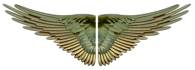 wing-2910113_640.png