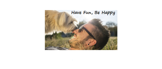 Have Fun, Be Happy.png
