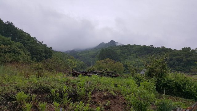 20180506_101529.jpg