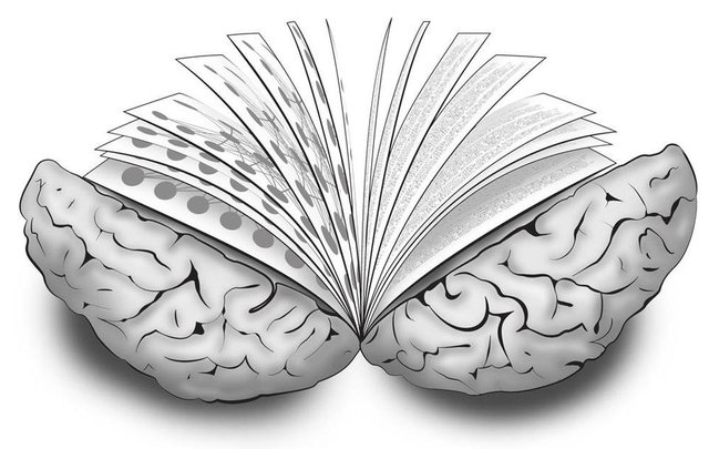 brain-book.jpg