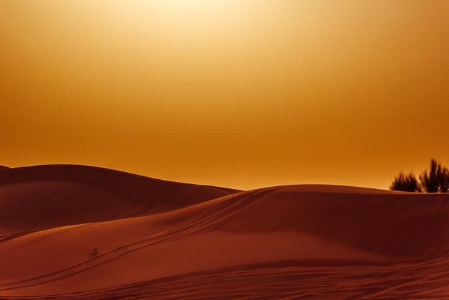 The-Red-Dunes.jpg