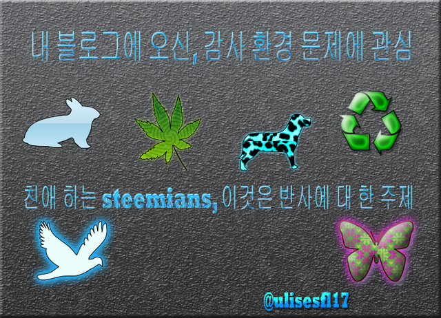 Bienvenida Ulises Ambiental koreano.png