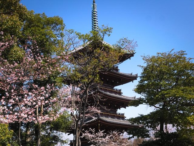 tokyo Shrine ueno.jpg