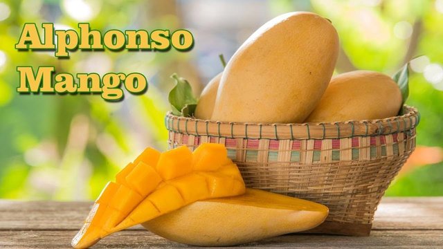 alphonso mango.jpg