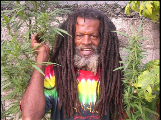 rasta.png