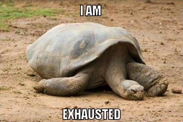 Depression Turtle.jpg
