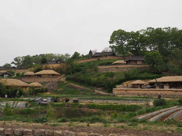 P4221110.JPG