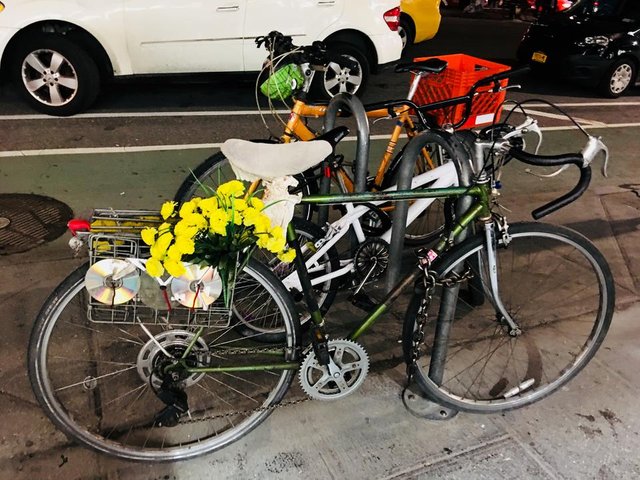 bike_flowers.jpg