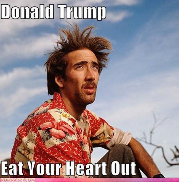 VH-funny-celebrity-pictures-donald-trump-eat-your-heart-out.jpg