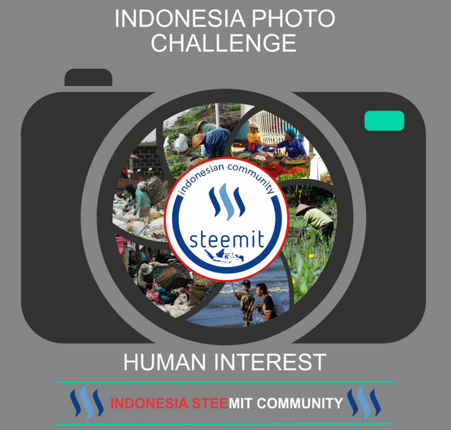 indonesia photo contest.png