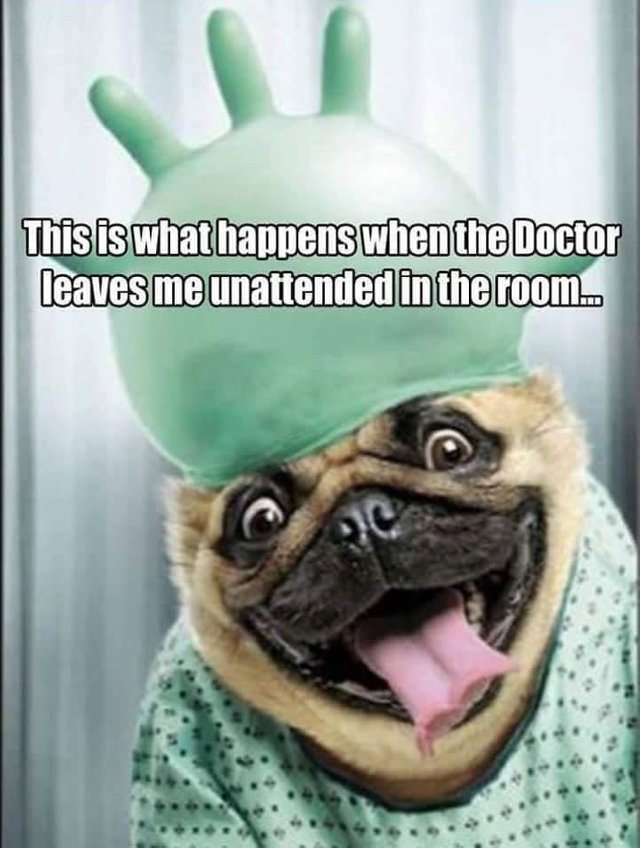 funny9 (107).jpg