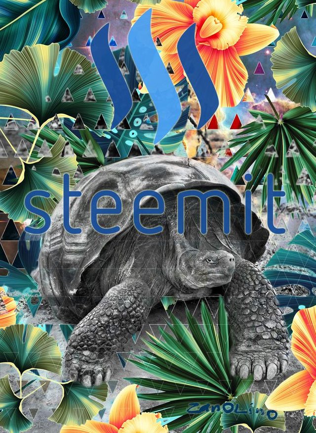 Salgado-tortoise-steemit-S.jpg