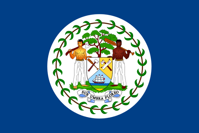 Flag_of_Belize_(1950-1981).svg.png