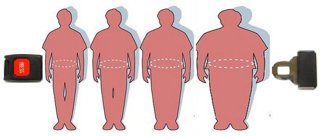 obesity man Photo credit Mike Licht, NotionsCapital.com on VisualHunt  CC BY.jpg