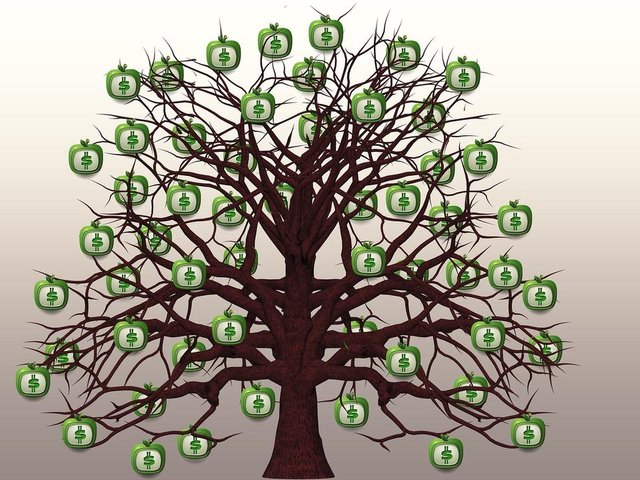 money tree.jpg