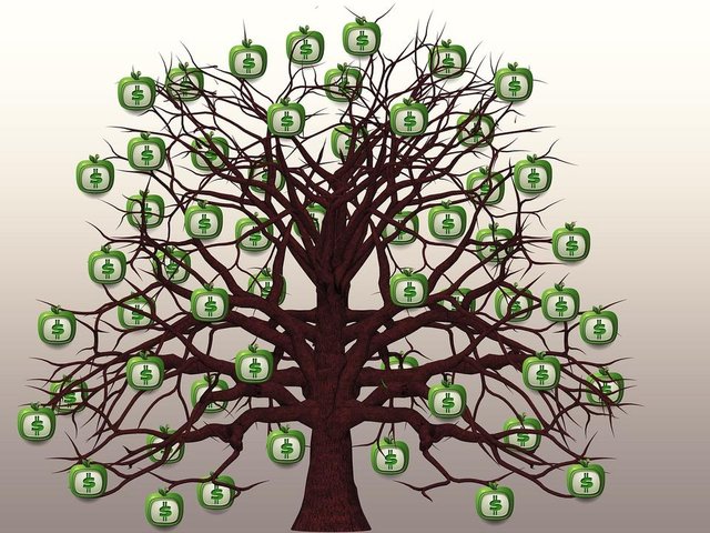 money tree.jpg
