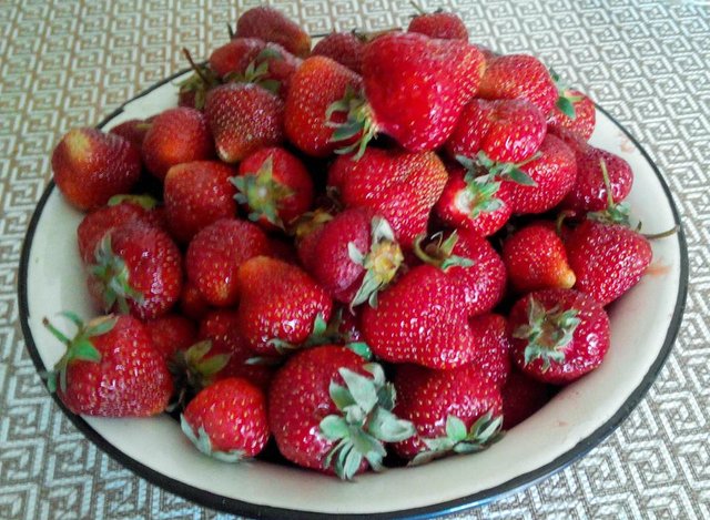 img_strawberries-66.jpg