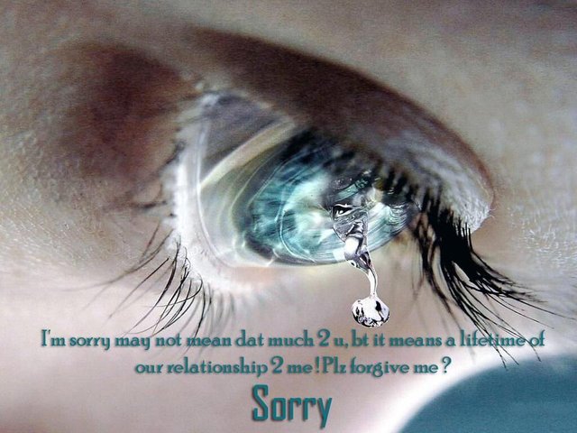 I-M-Sorry-May-Not-Mean-A-Lifetime-Of-Our-Relationship-Please-Forgive-Me-Sorry-Picture.jpg