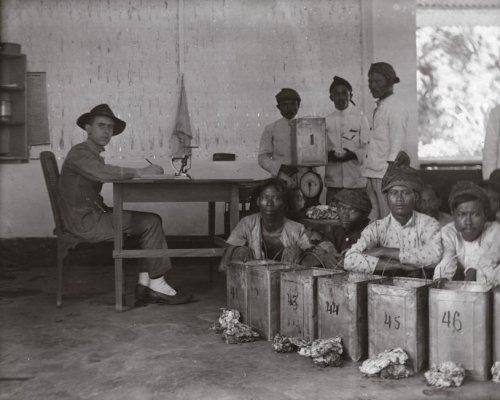 Pekerja Perkebunan Karet di Jawa, 1921. Het Leven..jpg