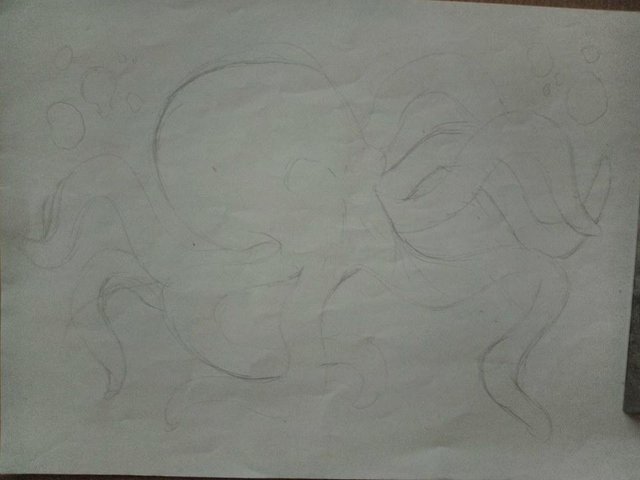 octo1.jpg