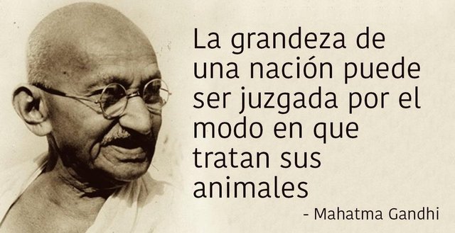 frases-celebres-gandhi-1.jpg