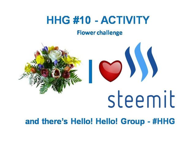 I love steemit - HHG10.jpg
