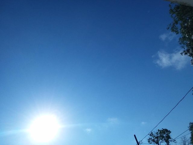 20180412_092143.jpg