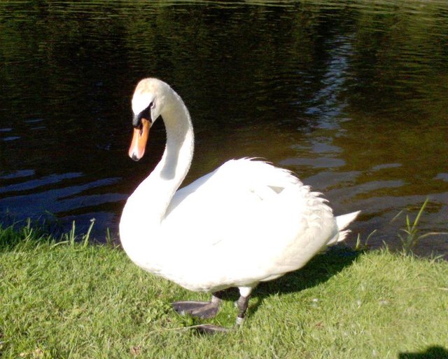 DSC00013.JPG