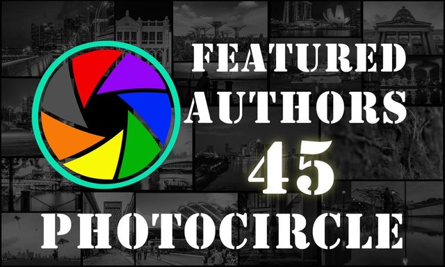 45-PC thumbnail - daily authors.jpg