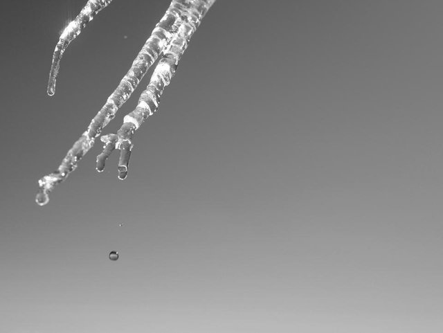 Icicle_MONO_P1010890.JPG