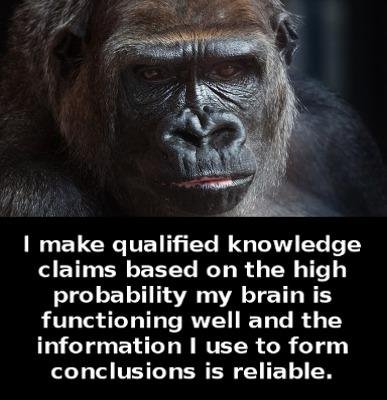qualified knowledge bold para.jpg