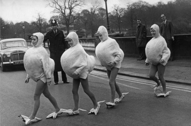 A-policeman-is-seen-here-holding-up-the-traffic-to-allow-four-women-dressed-as-egg-chicks-to-cross-the-bridge-at-the-Serpentine-in-Hyde-Park-London-10-March-1966..jpg