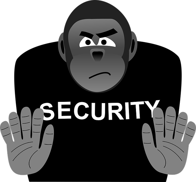security-1365599_640.png