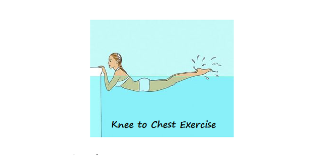 Knee to Chest Exercise.png