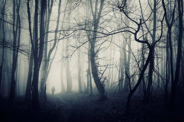 spooky-forest-man-walking-dark-path-scene-halloween-41502044.jpg