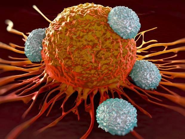 pp-cancer-t-cells-rf-istock.jpg